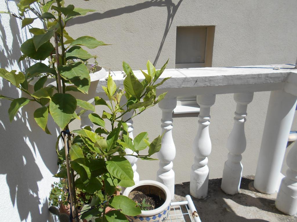 Apartments Ema Шибеник Екстер'єр фото
